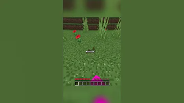 Cursed Minecraft Mp4 