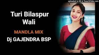 Turi Bilaspur Wali ।। DJ SONG।। MANDLA MIX DJ GAJENDRA BSP