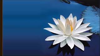 Story Based Comprehension   |    The Panchatantra   |    The Tortoise and the Geese Guía