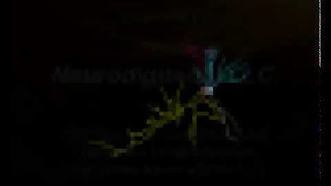 Digital Golgi Project.  Series I. CA1 pyramidal cells