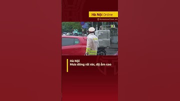 Mưa rào rải rác, độ ẩm cao #shorts