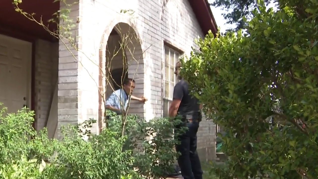 Homeowner cited after rat infestation in Pasadena neighborhood