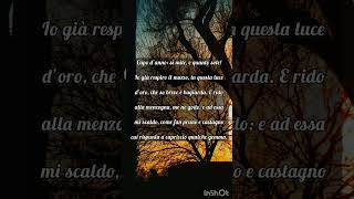 Sole Dinverno Ada Negri