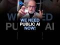 Why We Need 'Public AI': The $100 Billion Price Tag