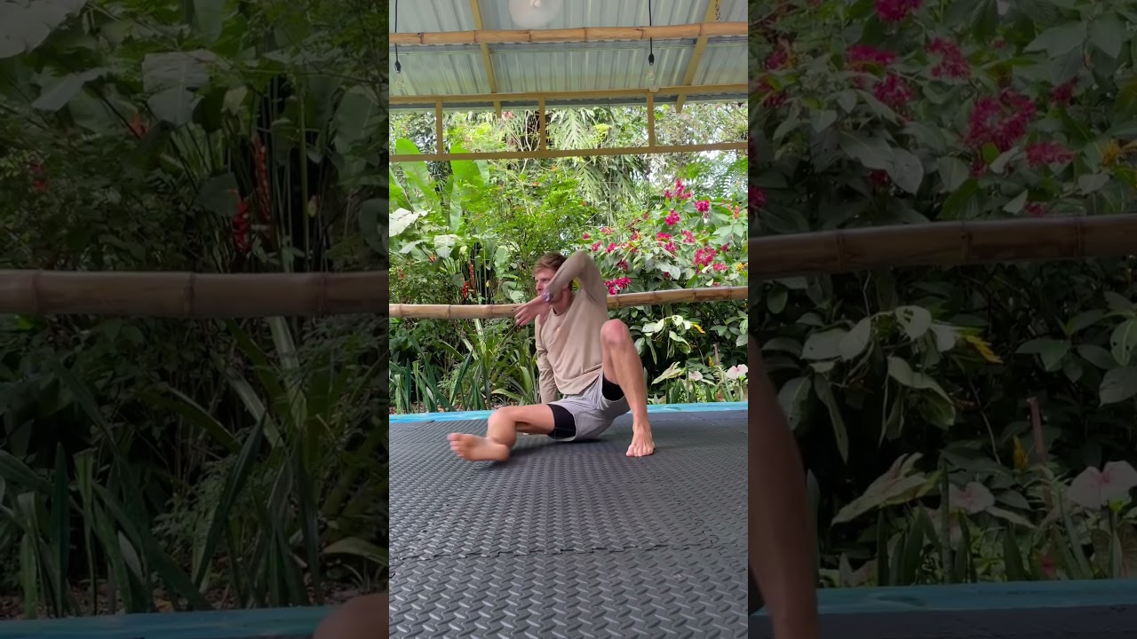 Advanced Primal Flow