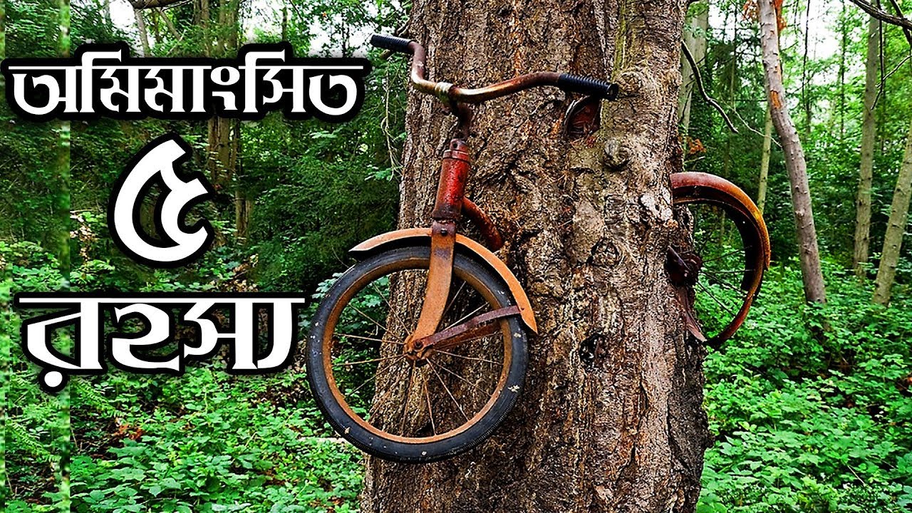 সেরা ৫টি অমিমাংসিত রহস্য || Top 5 Unsolved things of The World in Bangla