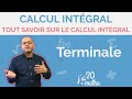 Tout savoir sur le calcul intgral  calcul intgral  terminale maths spcialit  complmentaires