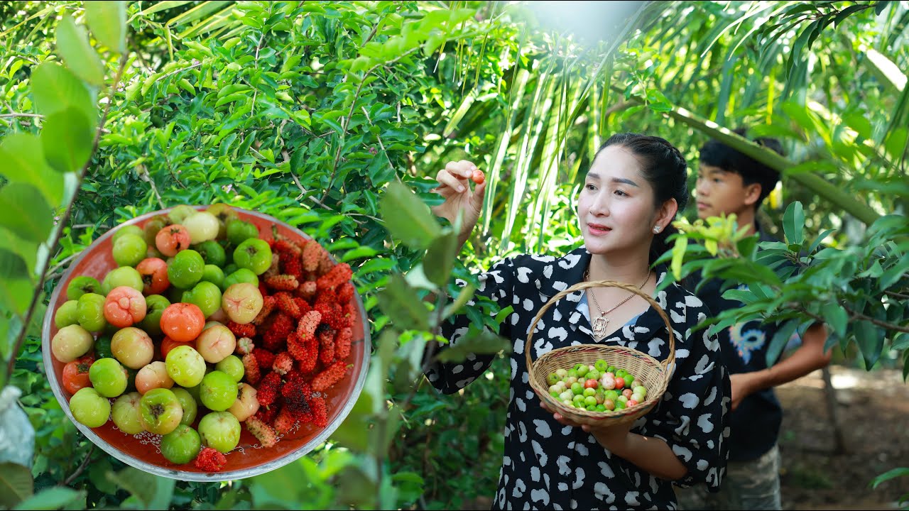 It's called "Levarv fruit" in my country Pick Fruit and Eat then