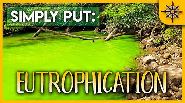 Eutrophication Explained