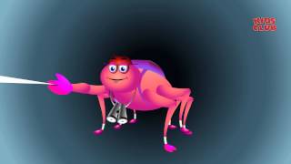 Incy Wincy Spider - Nursery Rhymes Collection I Children Songs