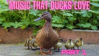 Music that Ducks love ❤️