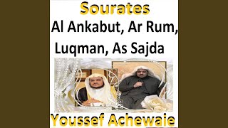 Sourate Ar Rum