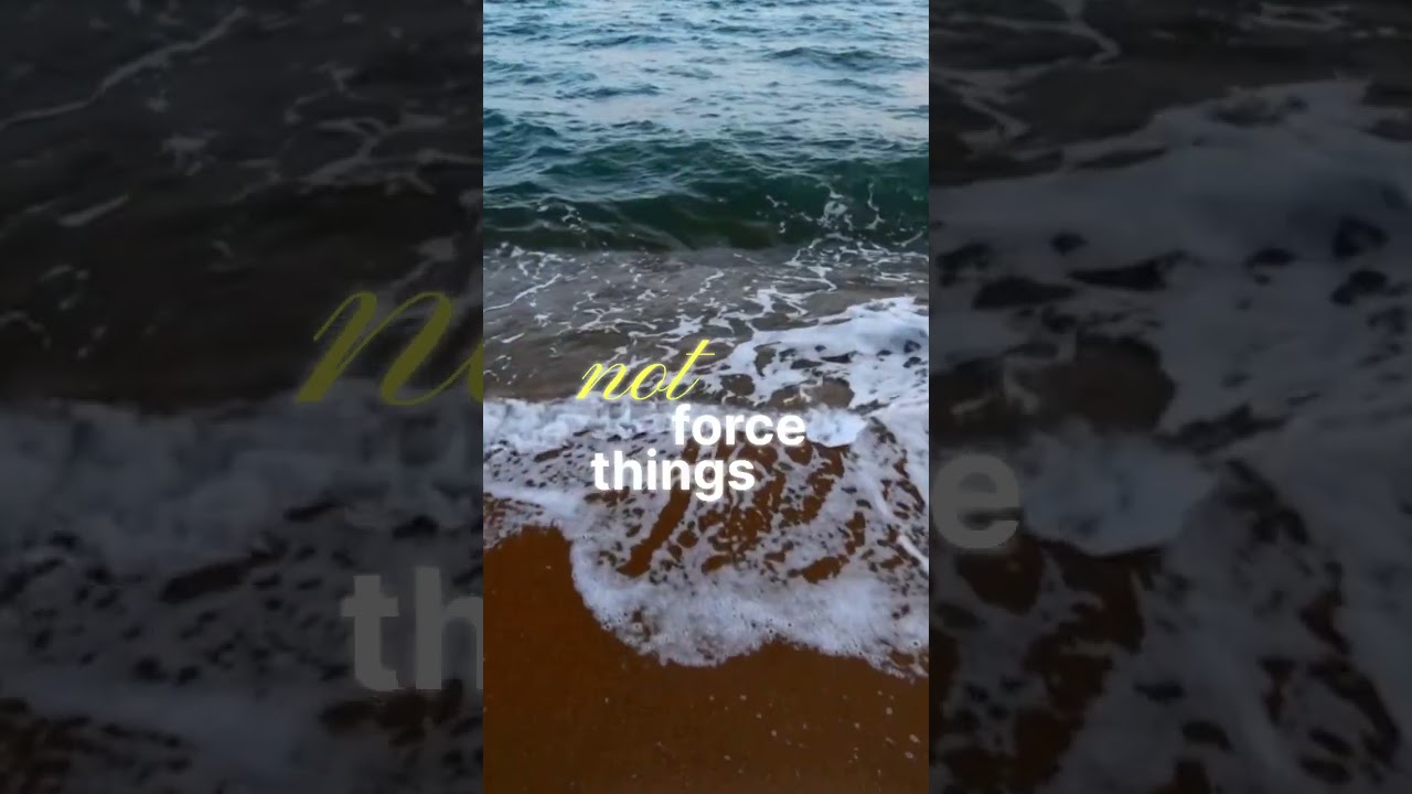 Your daily calm is here. ✨ 