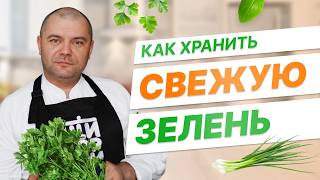 Как хранить свежую зелень