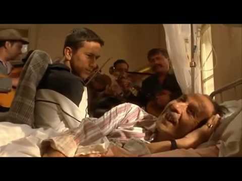 მუსიკა music музыка