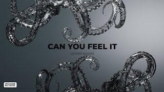 Offer Nissim - Can You Feel It