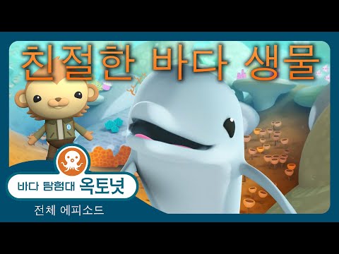 바다 탐험대 <strong>옥토넛</strong> -🤗 가장 친근한 바다 생물들 🐬 - 50분+ - 모음집