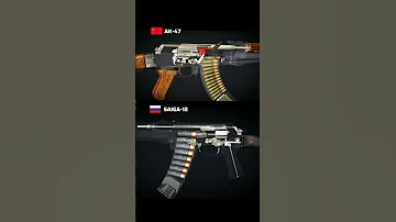 AK 47 Or SAIGA 12 What Do You Like 