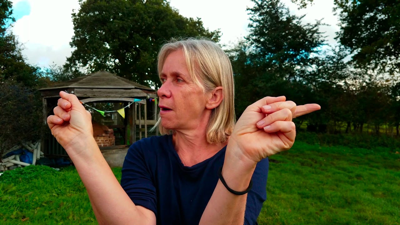 Visit to Forty Hall, London's only commercial vineyard