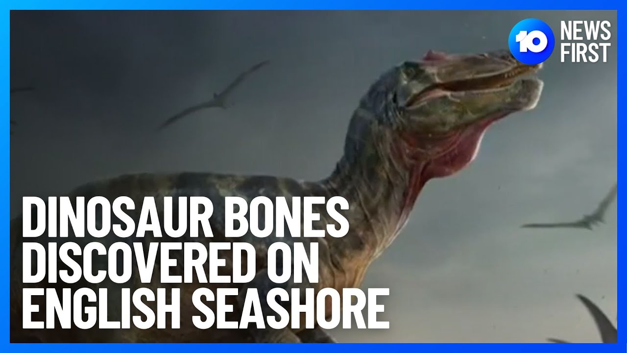 Europe's Largest Meat Eating Dinosaur Discovered 10 News First YouTube
