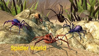 Spider World Multiplayer Android Gameplay HD #1 screenshot 3