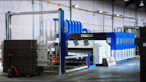 DANIAN Automatic 4 colors Flexo stripper stacker