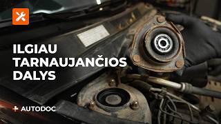 Techninės priežiūros patarimai - VW Polo Sedanas (602, 604, 612, 614) 1.4 Oro filtras, keleivio vieta keitimo instrukcija