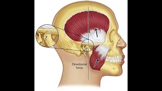 Let’s Talk Occlusion – Lecture 3 : Optimum Function