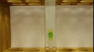 !!!Chlorophyll Chromatography!!!