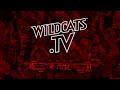 Perth Wildcats Vs Adelaide 36ers Highlights - 14 February 2014