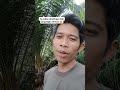 Termul Pencitraan Level DewaTapi Tetap Ketahuan Mari tanya termul #shorts #ijasahpalsu #shortsviral