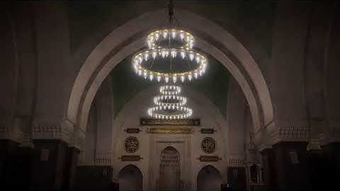 سورة فاطر | د. أحمد بن صابر الغامدي | مسجد قباء | صلاة الفجر ٢٣ جمادى الآخرة ١٤٤٧هـ