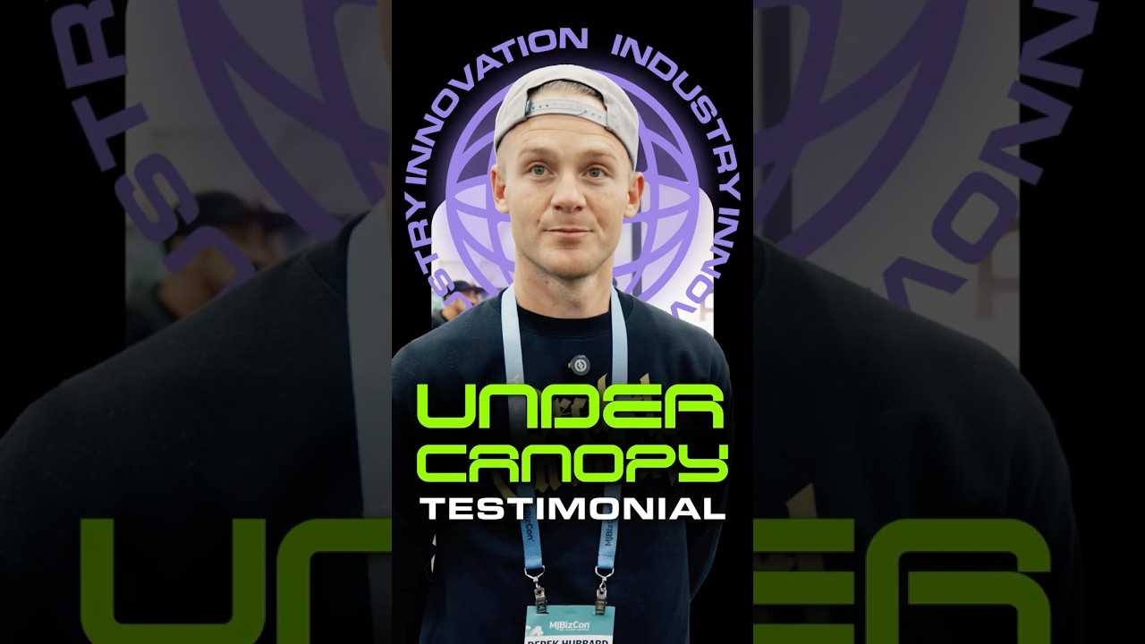 Испытание системы освещения под навесом в садах Decibel Gardens