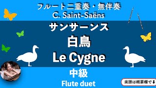 Le Cygne - Saint-Saëns (Flute duet ・un accompanied) by pfkaori