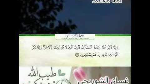 تلاوة رائعة القارئ غسان الشوربجي من سورة الزمر