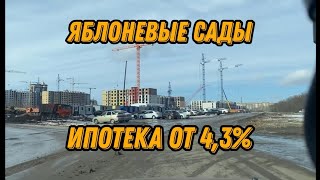 Воронеж. Яблоневые сады. Акция. Выбор, ДСК.