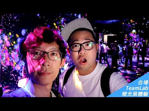 東京台場 Team Lab Borderless燈光展體驗