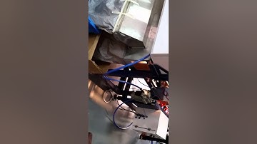 AMVT : Sorting English Walnut by NIR+RGB Belt Sorter