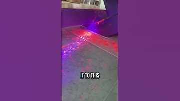 How to find how rats & mice are getting into your home!