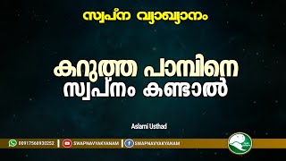 Swapna vyakyanam | കറുത്ത പാമ്പിനെ കണ്ടാൽ | Latest Islamic Speech | Muneer Aslami Usthad screenshot 4