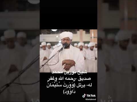 شيخ نورين تلاوه