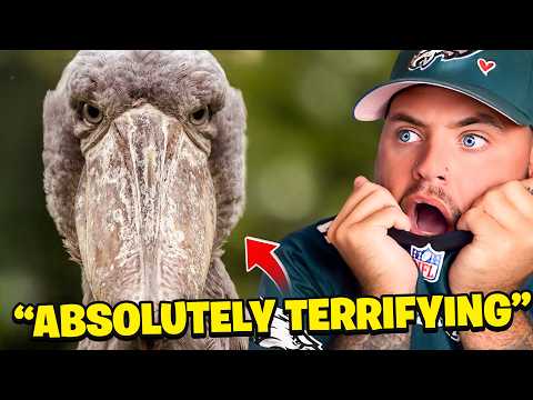 These ANIMALS Are TERRIFYING