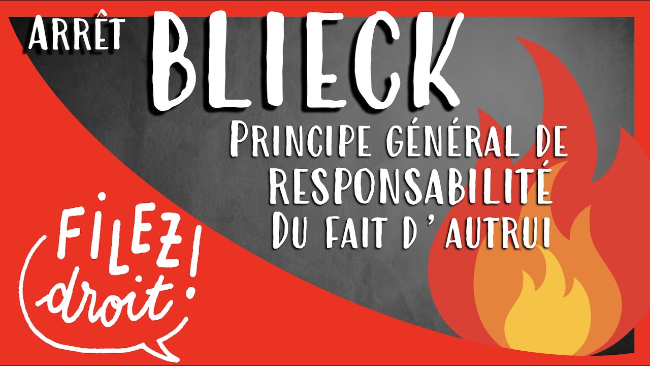Arrêt Blieck, Principe général de responsabilité du fait d'autrui (Cass. Ass. Plén. 29 mars 1991)