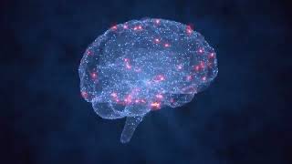 Subconscious Beliefs Purger Morphic Field - Flush out & Dissolve False Beliefs, Fears & Blockages