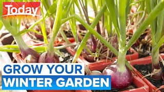 Tips to help your plants thrive as the weather gets cooler | Today Show Australia