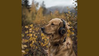 Joyful Barks Echo