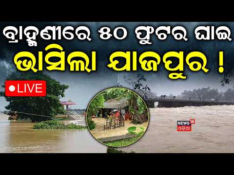 ବ୍ରାହ୍ମଣୀରେ ୫୦ ଫୁଟର ଘାଇ | 1PM LIVE | Jajpur Flood News | Brahmani River Flood | Flood in Odisha