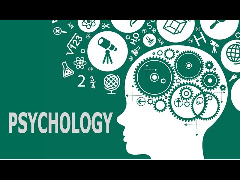 Video TÂM LÝ HỌC ĐẠI CƯƠNG - CHƯƠNG V (TƯ DUY VÀ TƯỞNG TƯỢNG) - youtube