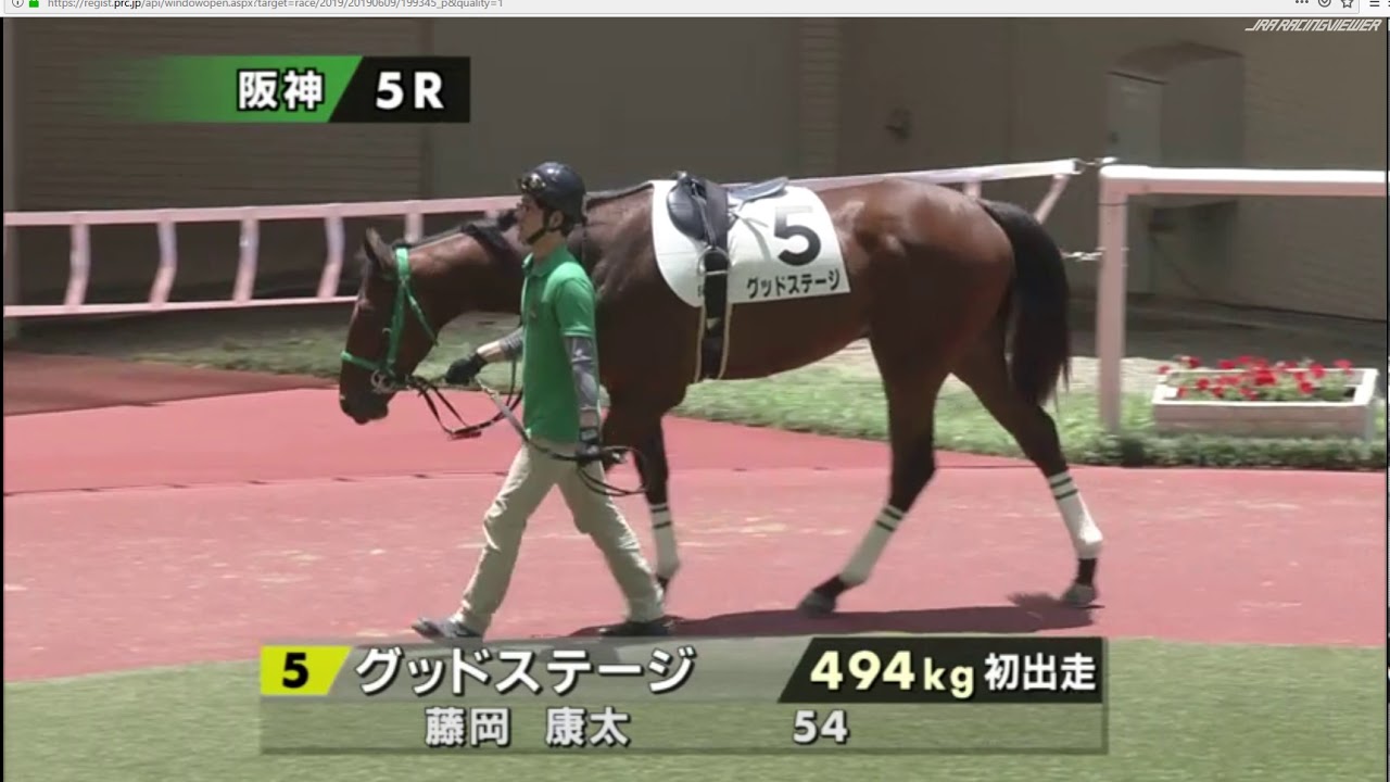 アレグリア シチー