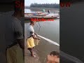 catch fish 🐟 viral video #fishing #shortvideo #subscribemychannel #shortsfeed